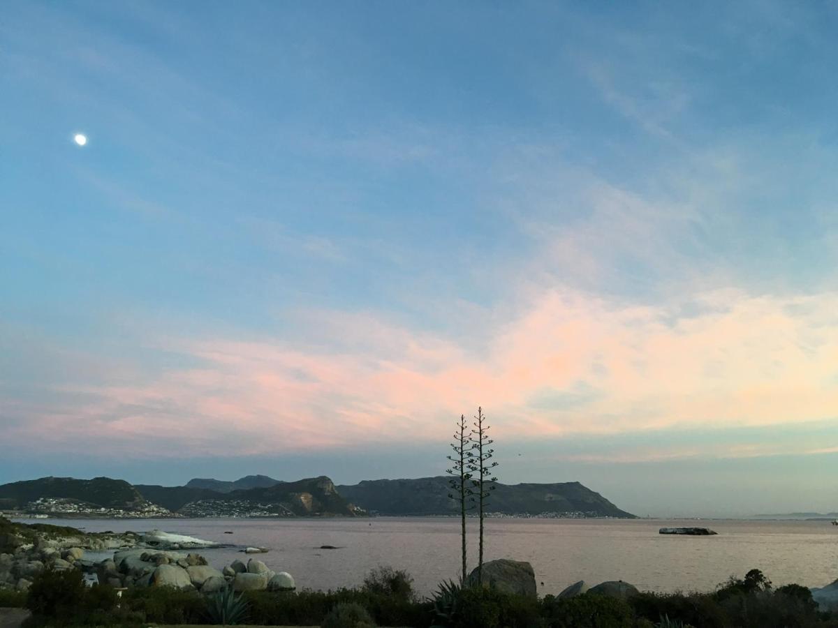 Bosky Dell On Boulders Beach Simonʼs Town Exterior foto